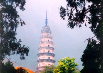 长清网速测试