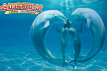 道里网速测试