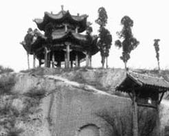 河津网速测试