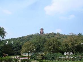 惠山网速测试