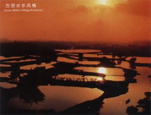鹤山网速测试