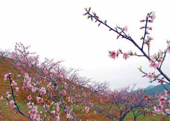 建宁网速测试