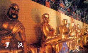 城区网速测试
