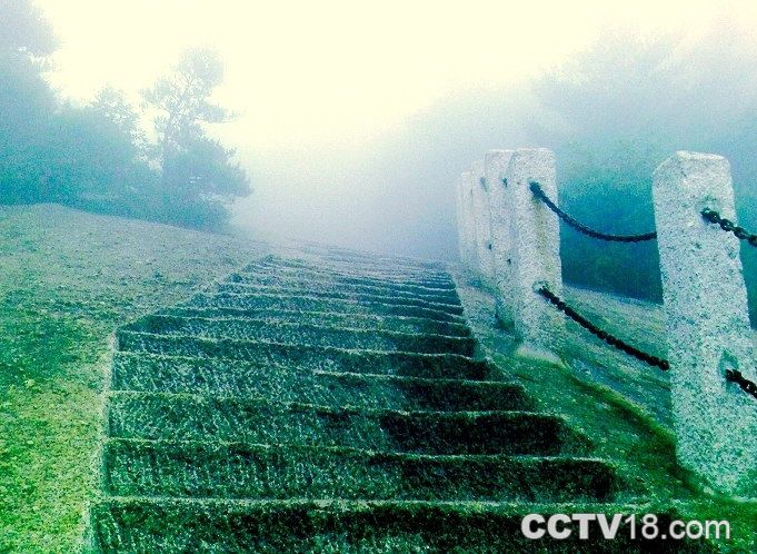 莱山网速测试
