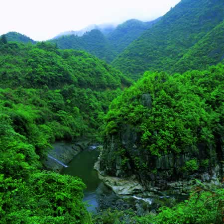 龙湾网速测试