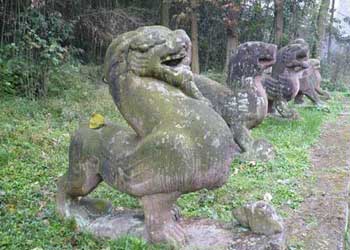 芦山网速测试