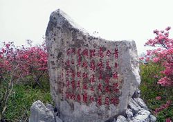 麻城网速测试