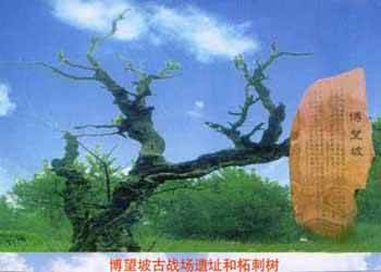 方城网速测试