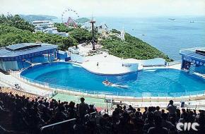 沙田网速测试