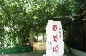 吐鲁番市网速测试