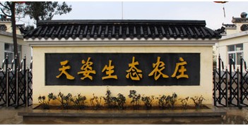 孝南网速测试