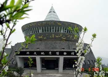 兴文网速测试