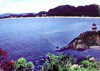 玉环网速测试