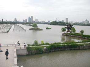 渝水网速测试