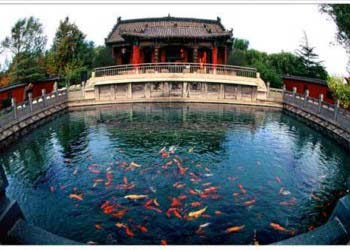 章丘网速测试